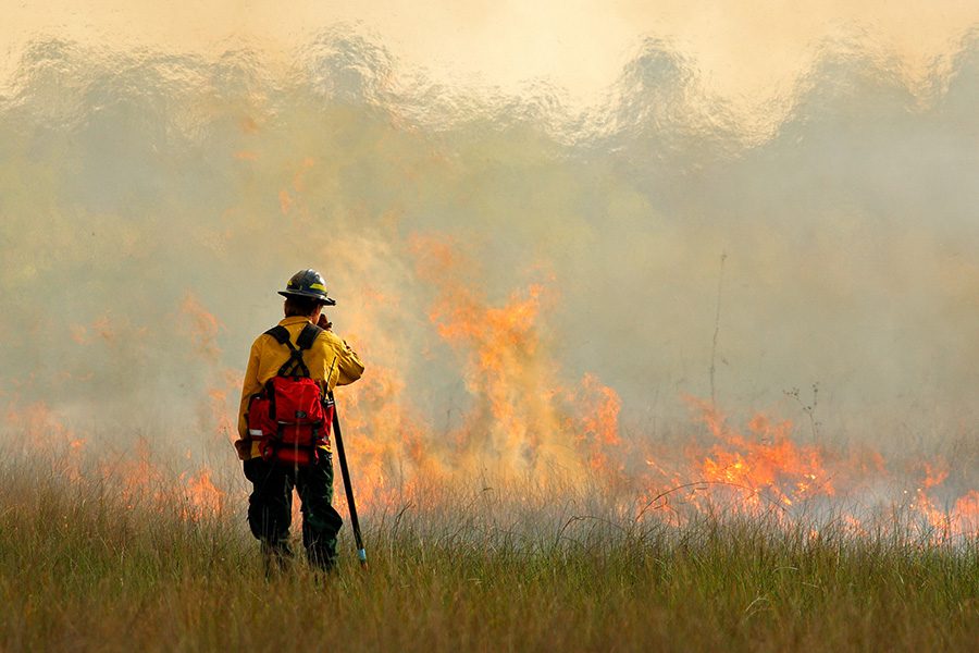 Wildfire Preparedness - View of a Fire Fighter Trying to Extinguish a Brushfire That is Burning Up a Field of Dry Grass